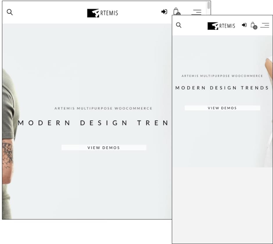 Artemis Theme Artemis Theme