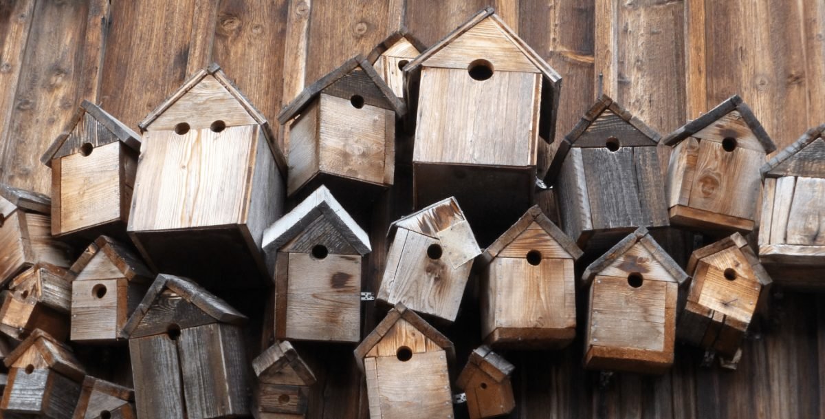 Bird Feeders Bird Feeders