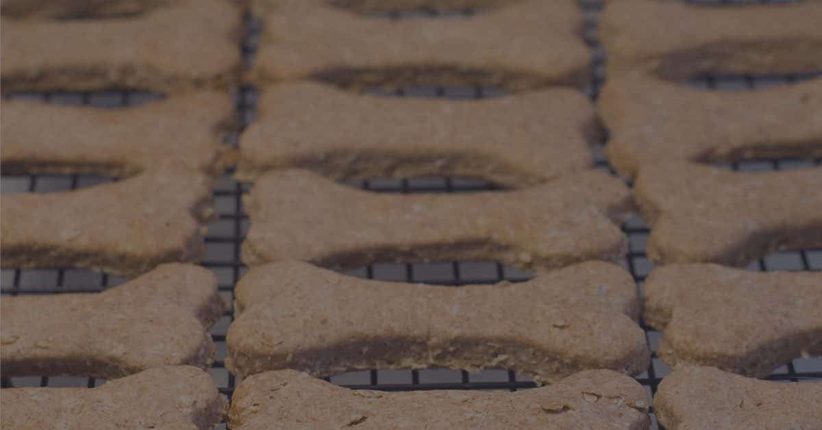 DIY Dog Treats Selling DIY Dog Treats