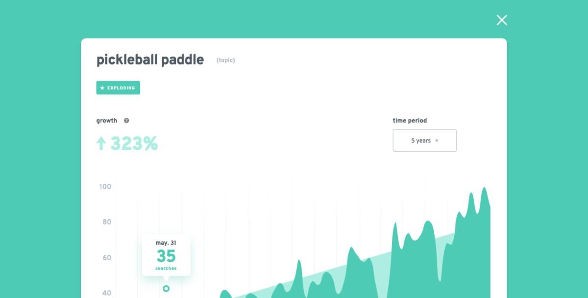 image 11 1200x609 1 Pickleball Paddles Exploding topics