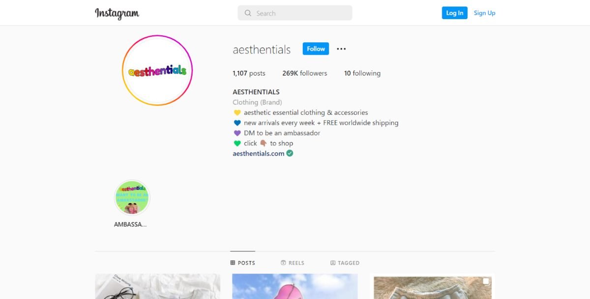 image 15 AESTHENTIALS instagram