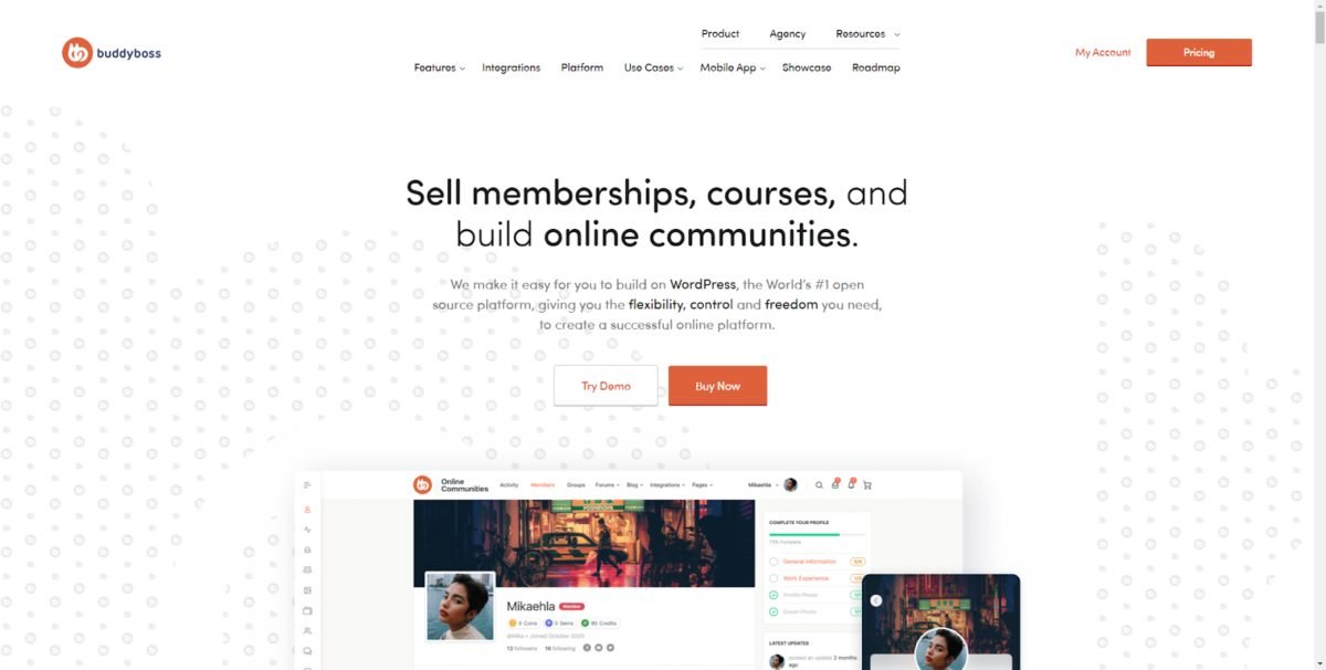 image 4 BuddyBoss homepage