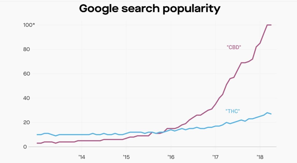image 5 Google search popularity for THC vs CBD