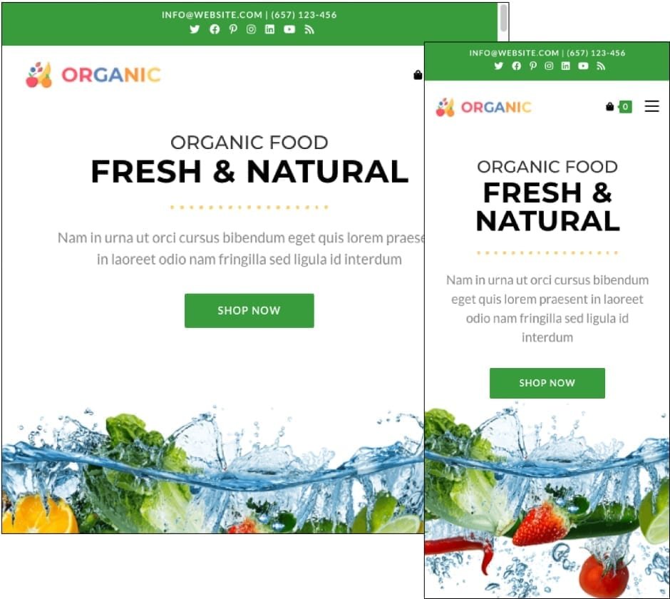 OceanWP Theme OceanWP Organic Theme