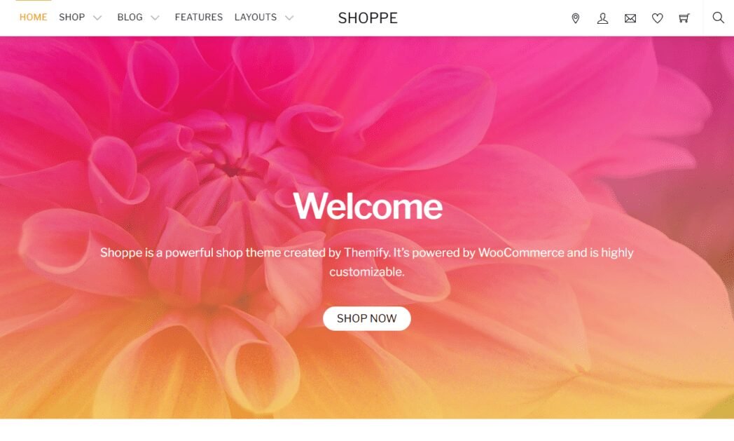 themify.me demo themes shoppe Screenshot Shoppe Theme