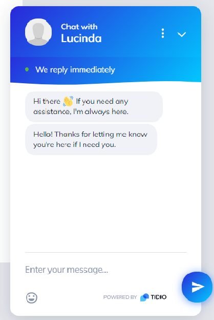 Tidio chat window Tidio Live Chat Example
