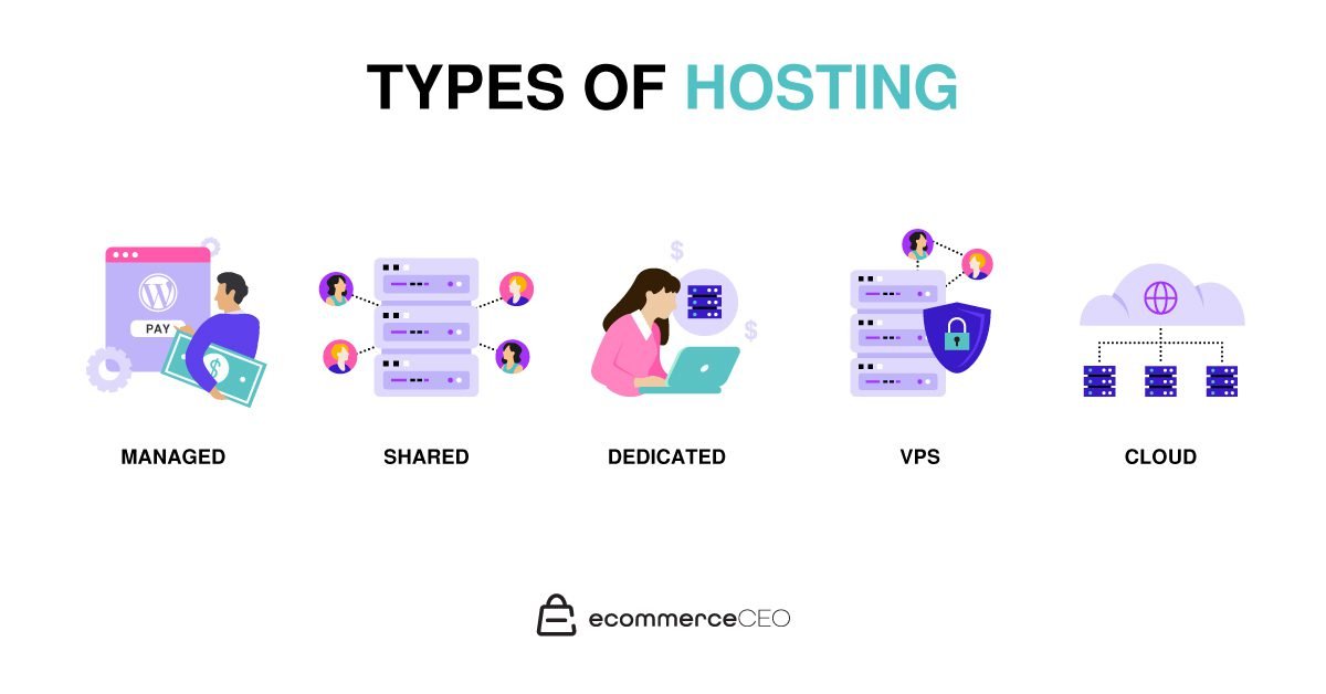 Types Of Hosting Illustration Types of Web Hosting