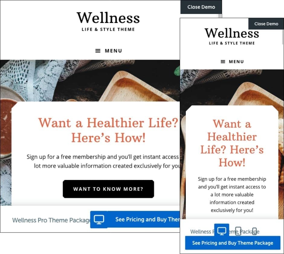 Wellness Pro Theme Wellness Pro Theme