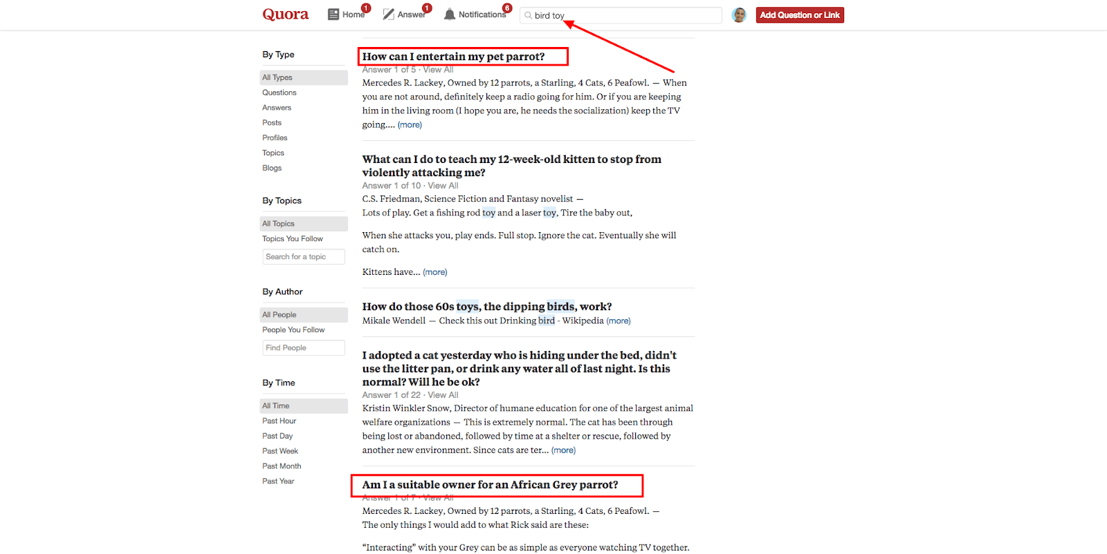 578bd192 47d0 4812 a642 e1c54ebec95e 62020Search202020bird20toy202020Quora Use Quora To Source For Ideas And Get Feedback