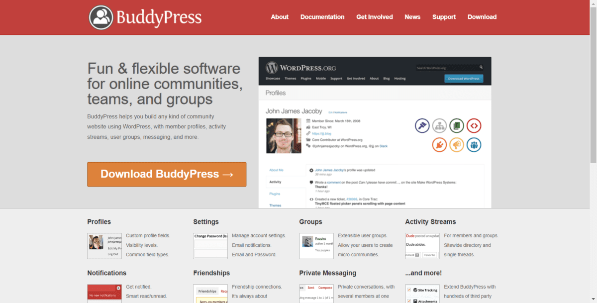 buddypress.org Screenshot BuddyPress