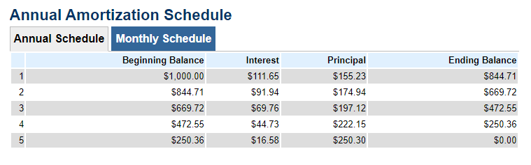 image 30 Annual Amoritization Schedule