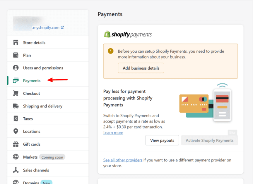 Shopify Payment Settings set up shopify payments