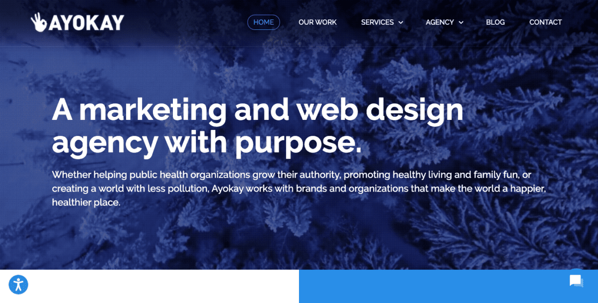 www.ayokay.com Screenshot AyOkay